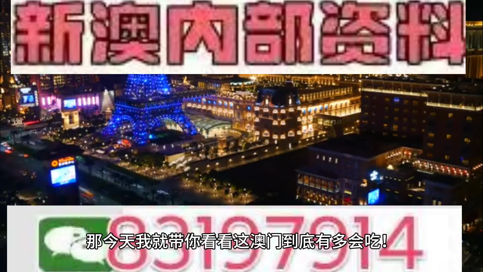 2025新澳门天天免费精准,精选解析、解释与落实