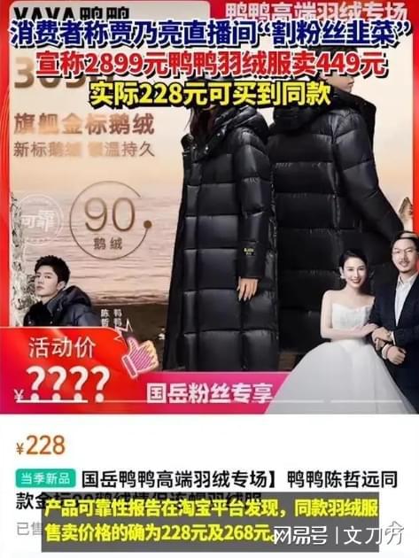 新奥2025正版资料大全,的警惕虚假宣传-全面释义、解释与落实